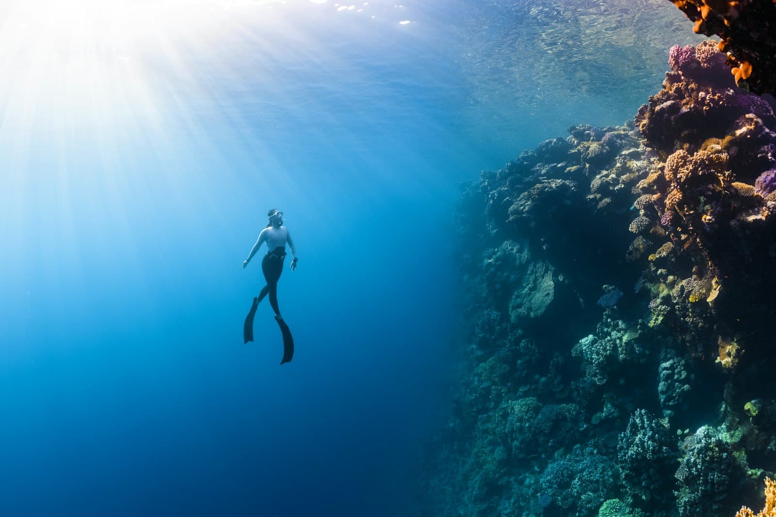 Solo Travel & Mental Health 2026: The Complete Guide to 30 Days Alone